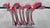 Swedish Red Hangers from Monika Mulder, 1990s, Set of 8 For Sale - Image 12 of 15