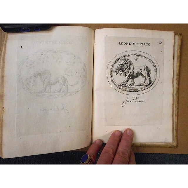Antiquarian Book-"Gemmae Et Sculpturae Antiquae Depictae"-1694- For Sale - Image 12 of 13