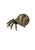 A beautifully cast bronze hermit crab sculpture, distinguished by its bold ribbed shell and finely articulated form. The...