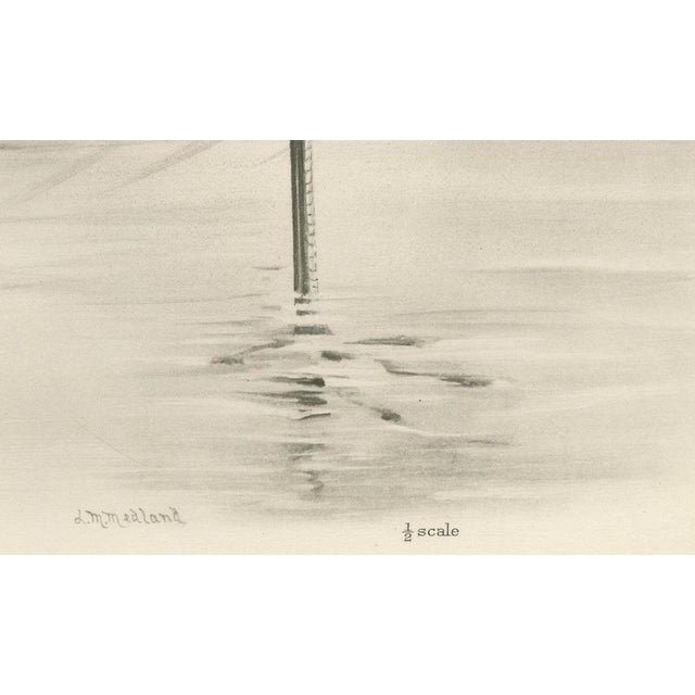 Early 20th Century After Lilian Medland, Glossy Ibis, 1909, Print For Sale - Image 5 of 9