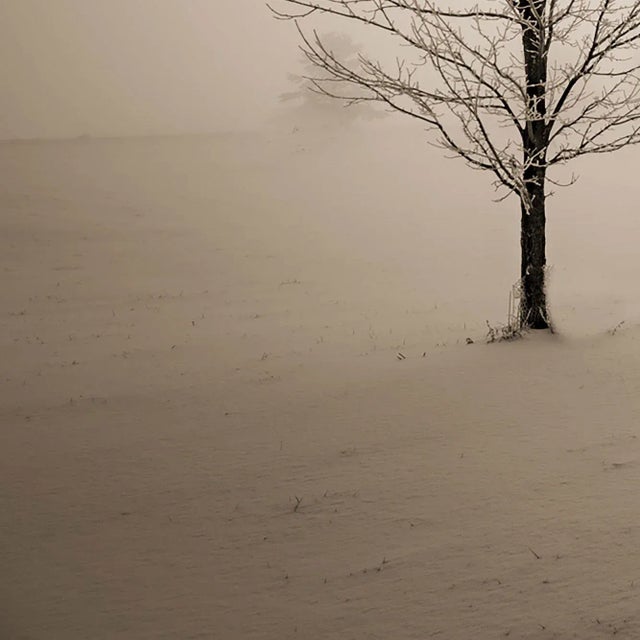 Early 21st Century 2021 "Simplicity. The Midwest in Winter" Modern Photography, Ultra Vibrant Acrylic Prints by Marty Hulsebos Photography For Sale - Image 5 of 7