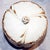 Late 19th Century Limoges Bisque Glazed Cookie Ginger Jar For Sale - Image 4 of 7