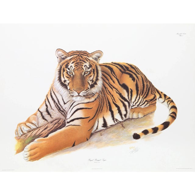Bengal Tiger Sean Bollar Year: 1979 Size: 20 in. x 16 in. Lithograph, signed in pencil