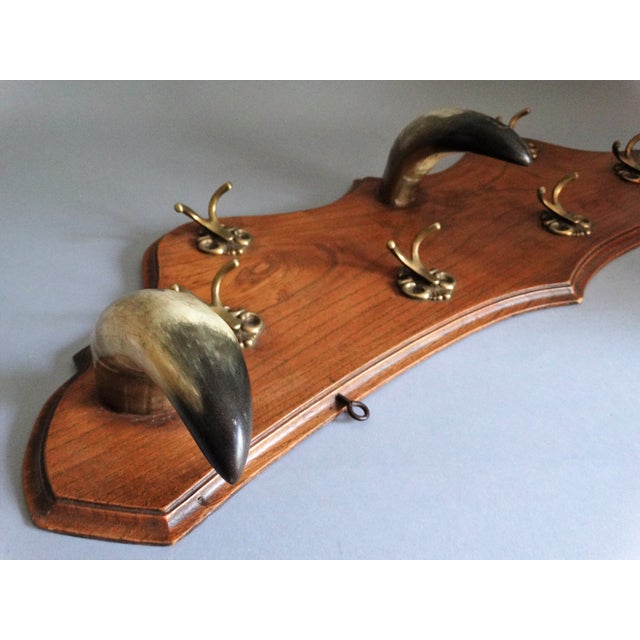 Early Continental Horn Hat & Coat Rack Chairish