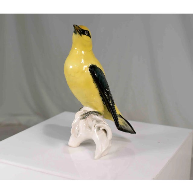 Early 20th Century Porcelain Indian Golden Oriole by Karl Ens Volkstedt Germany For Sale - Image 9 of 12