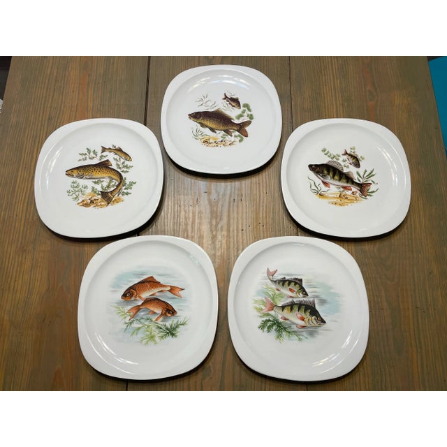 An exquisite set of five French Limoges Dinner Plates with colorful fish displayed on each plate. Circa 1940s-50s. Maker's...