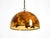 Large Italian Resin Pendant Lamp with Embedded Maple Leaves, 1970s For Sale - Image 3 of 18