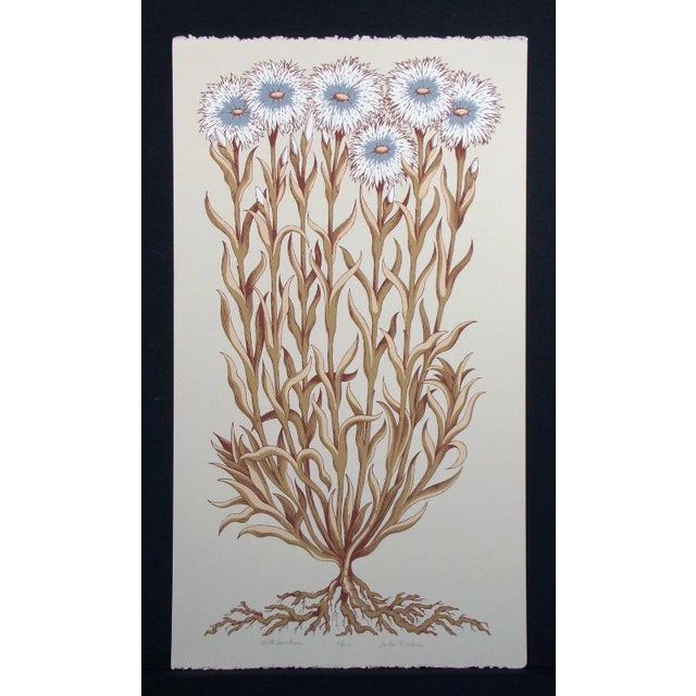 1980s Jules Roch "Wild Carnations" Hand Signed Limited Edition Fine Art Serigraph For Sale - Image 5 of 6