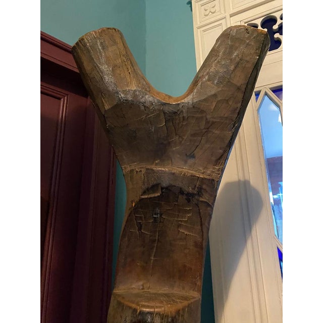 Stunning dogon ladder mali lacquered patina wood h_250 cm common in dogon country, these ladders are found throughout west...
