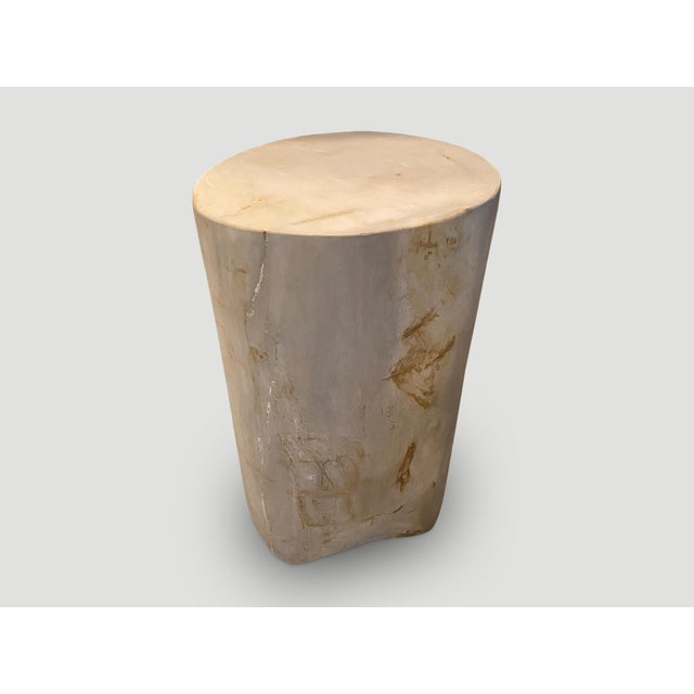 Andrianna Shamaris Super Smooth High Quality Petrified Wood Side Table For Sale - Image 4 of 6
