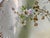 1900s Limoges Hand Painted Floral Porcelain Plates - a Pair For Sale - Image 9 of 18