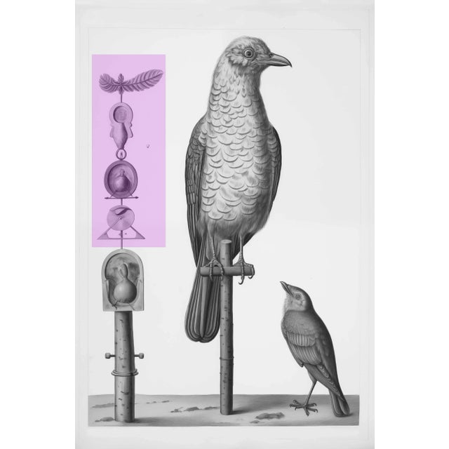 Contemporary Set of 6 - High End Framed Vintage Bird Watercolor Prints With Color Accents For Sale - Image 3 of 8