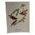 1960s After Audubon Purple Finch Print For Sale
