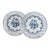 Pair of Antique German Blue + White Reticulated Plates (C. 1905) For Sale