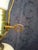 Vintage Floral Table Lamp For Sale - Image 4 of 16