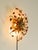 Gold-Plated Ceiling Lamp by Banci Firenze, Italy, 1960s For Sale - Image 6 of 18