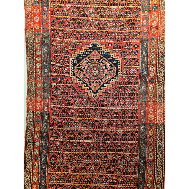 "Superb Kurdish Bidjar wide runner in an all over paisley design on an abrash terracotta red field color from the early...
