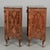 Rococo 18th Century Italian Rococo Comodini, or Nightstands, a Pair For Sale - Image 3 of 11