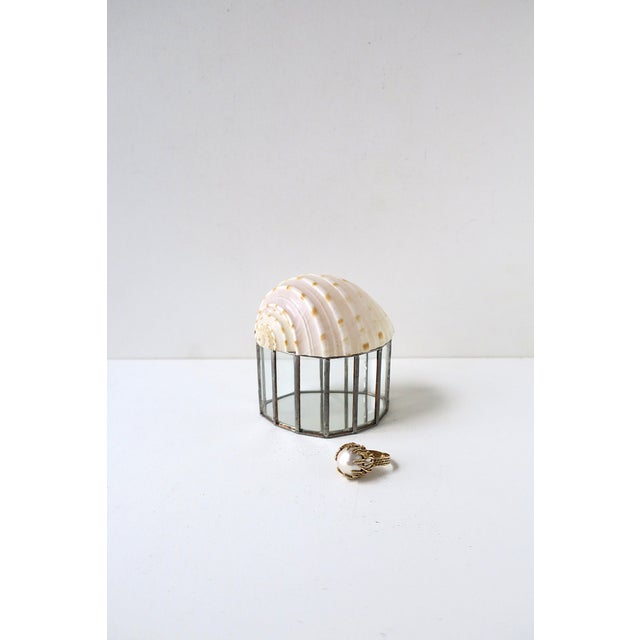 Late 20th Century Seashell Jewelry Trinket Box For Sale - Image 5 of 12