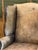 Wood Pair of 19th Century English Leather Wing Back Chairs For Sale - Image 7 of 12