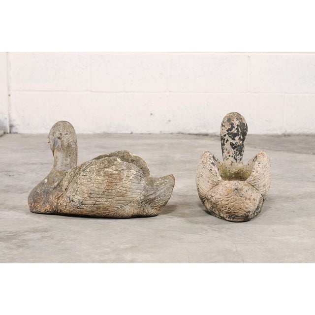 Mid 20th Century Pair of Stone Swan Planters For Sale In Atlanta - Image 6 of 11