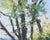 Early 21st Century An Evening Like This by Stephanie Hartshorn | Oil Painting of a lakeside scene with trees For Sale - Image 5 of 5