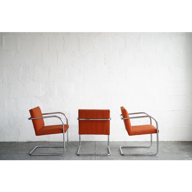 Mid-Century Modern Mid 20th Century Mies Van Der Rohe Brno Chairs For Sale - Image 3 of 5