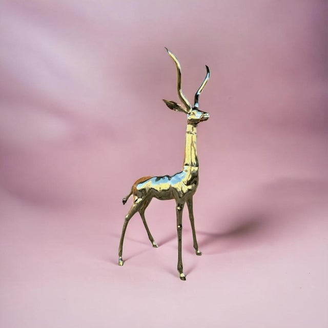 Life-Size Antelope, 1950s, Polished Bronze Sculpture For Sale - Image 17 of 18