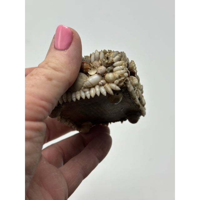 Small Vintage Shell Art For Sale - Image 4 of 7