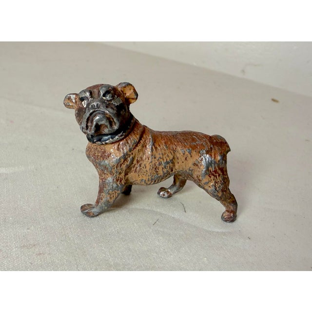 This antique miniature cold painted solid lead figurine is a collectible item depicting a Bulldog. The detailed...