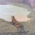 Romantic Artist, Tiger Before a Dreamscape, 19th Century, Oil on Canvas For Sale - Image 5 of 18