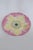 Carl Knoll Yellow and Pink Flower Small Plate Karlsbad Austria Porcelain 4807b For Sale - Image 14 of 14