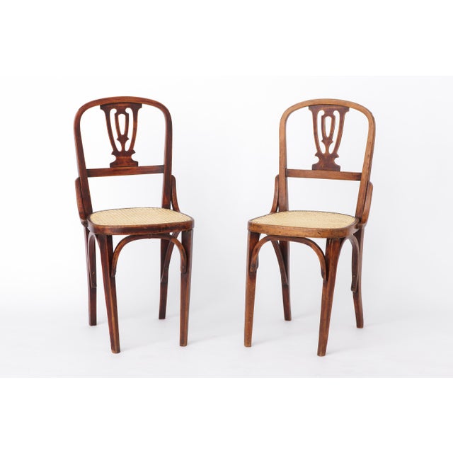 Vintage Bentwood and Cane Dining Chairs, Austria, 1940s, Set of 2 For Sale - Image 10 of 10