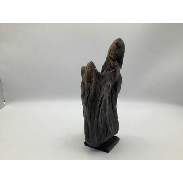 Late 20th Century Driftwood Sculpture For Sale - Image 13 of 13