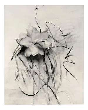 Ugne Pouwell, Lilly in Charcoal, 2023, Photography
