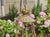 19th Century Neoclassical Nine-Light Alabaster & Gilt Bronze Chandelier For Sale - Image 12 of 13