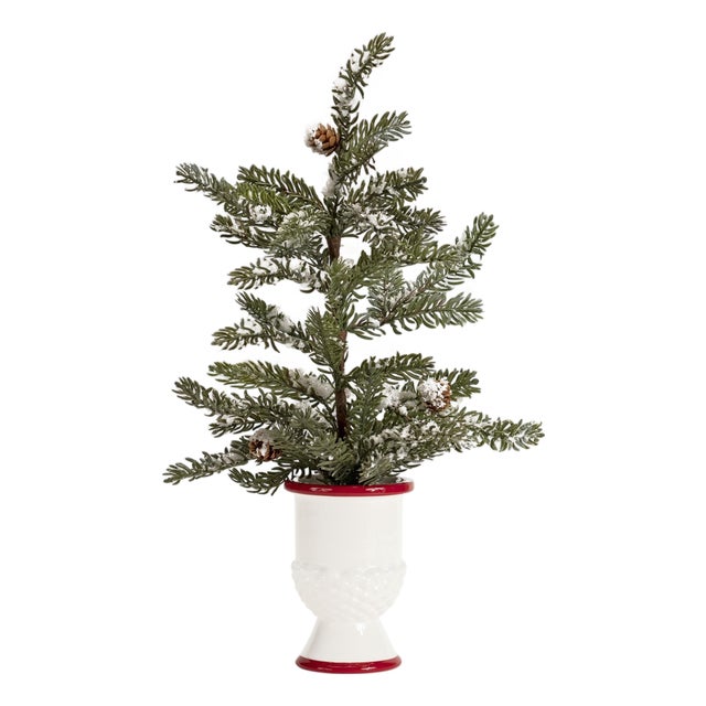 Mini Pine Tree with Ceramic Pot (Set of 2) For Sale