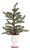 Mini Pine Tree with Ceramic Pot (Set of 2) For Sale