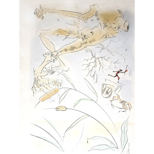 Salvador Dali - The Oak and the Reed - Signed Engraving 1974 For Sale - Image 11 of 13