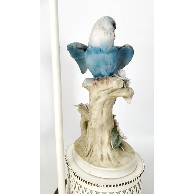 Lamp Blue Parakeet Parrot For Sale - Image 10 of 12