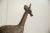 Figurative Vintage African Bronze Giraffe For Sale - Image 3 of 7