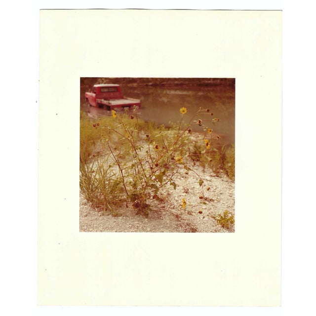 Patsy Cravens (1936-2022) color photograph of blooming plant with a flooded truck in the background. Signed on the...
