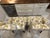 c.r. Laine Pair of Traditional Botanical Wingback Chairs, Original Upholstery, 2008 For Sale In Saint Louis - Image 6 of 12