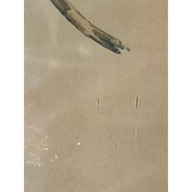Early 20th Century Framed J. Gould Bird Prints in Ornate Gilt Frames - a Pair For Sale - Image 13 of 18