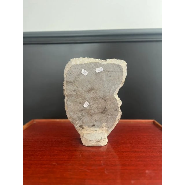 Fossilized Ammonite Plate in Stone For Sale - Image 4 of 5