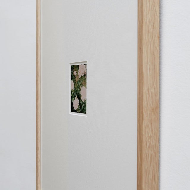 Not Yet Made - Made To Order The Rose Garden Nº 35 Print by David Urbano, 2018 For Sale - Image 5 of 9