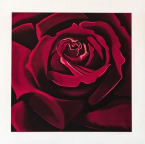 Lowell Nesbitt Rose Hand Signed Screenprint, 1978