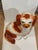 19th Century Antique Staffordshire King Charles Spaniel Figurine For Sale - Image 5 of 7