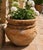 Vintage Terracotta Planter with Rope Detail, Rustic Garden Pot, Mediterranean Style Outdoor Planter, Drainage Hole Bring...