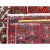 1960 7'10"x11'4" Toreader Red Hand Knotted Cleaned Evenly Worn Vintage Oriental Rug For Sale - Image 4 of 12
